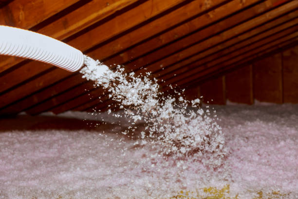 Garage Insulation Installation in Hempstead, TX
