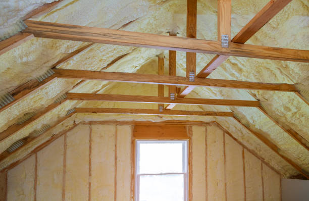 Best Insulation for New Construction  in Hempstead, TX