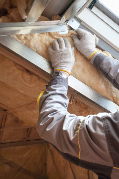 Best Insulation Removal Services  in Hempstead, TX