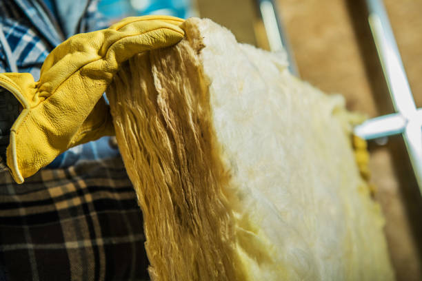 Best Spray Foam Insulation  in Hempstead, TX