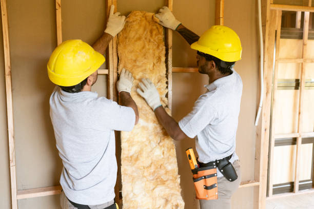 Best Attic Insulation Installation  in Hempstead, TX