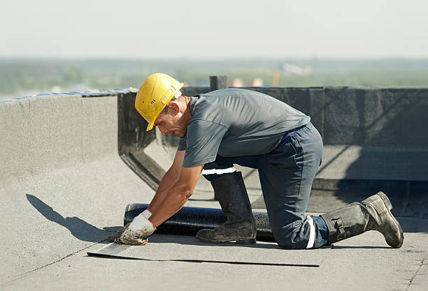 Best Energy-efficient Insulation  in Hempstead, TX