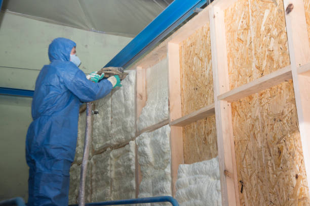 Best Local Insulation Services  in Hempstead, TX