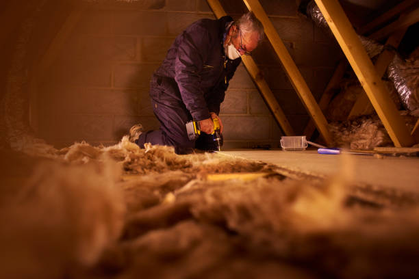 Best Insulation Replacement Services  in Hempstead, TX